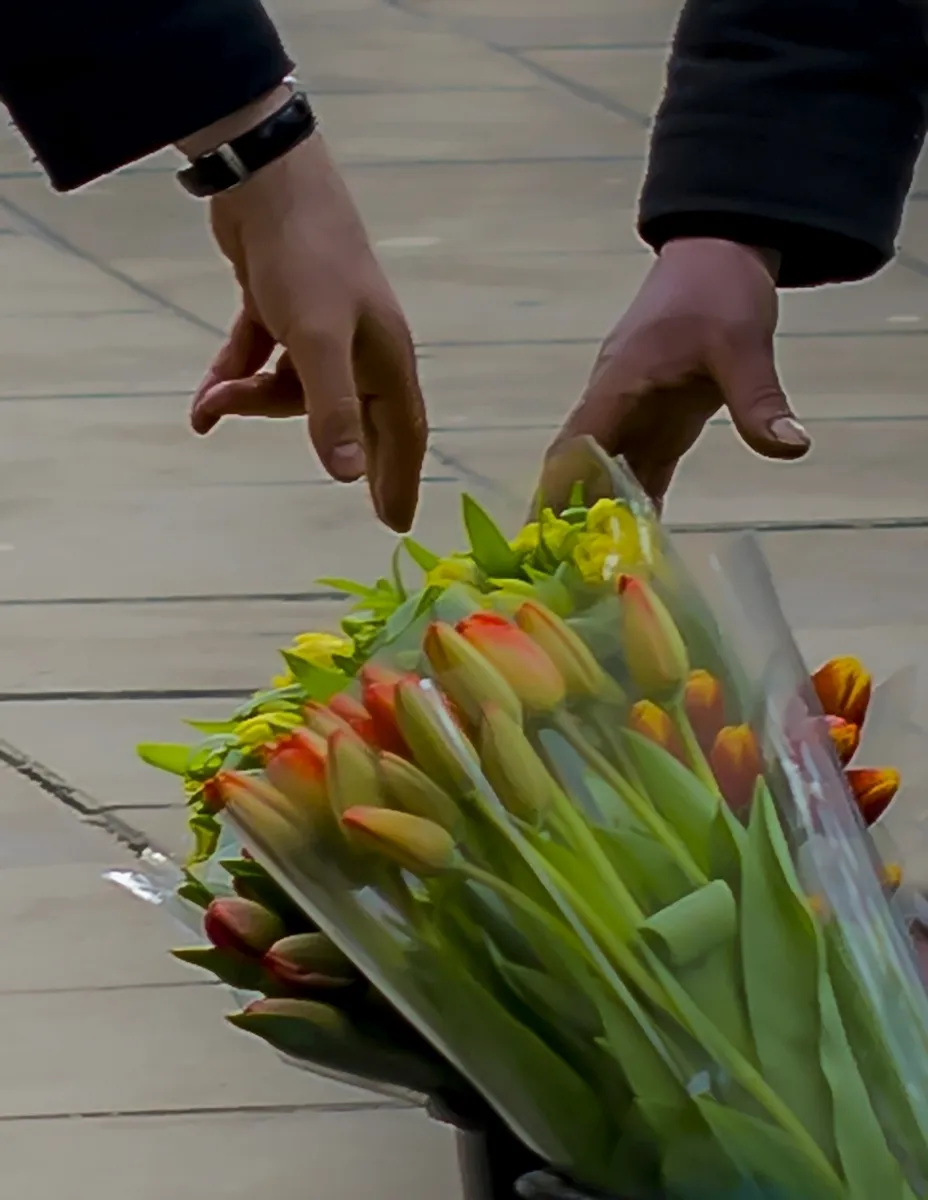 Two hands reaching toward a bouquet of orange-tipped tulips